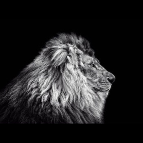 Meet your Posher, Corey - Picture 1 of 1